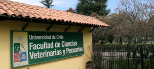 Catlogo de Cursos Facultad de Ciencias Veterinarias y Pecuarias
